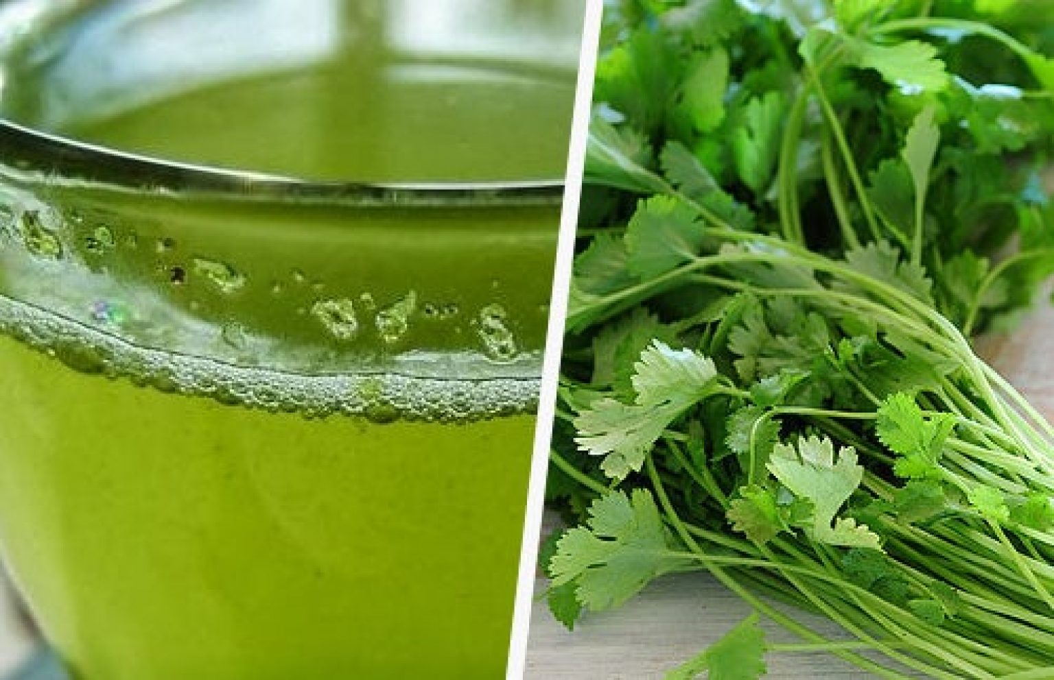 Coriander Leaves For Weight Loss 5 Benefits, Juice Recipe