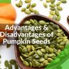 Advantages And Disadvantages of Pumpkin Seeds