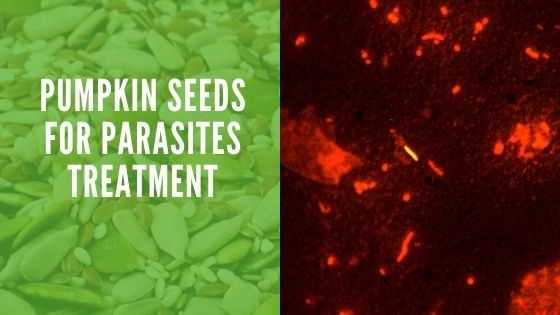 pumpkin Seeds for Parasites Treatment