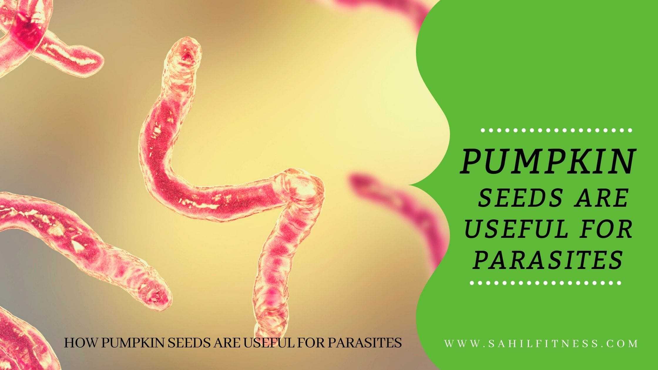How to Take Pumpkin Seeds Against Parasites