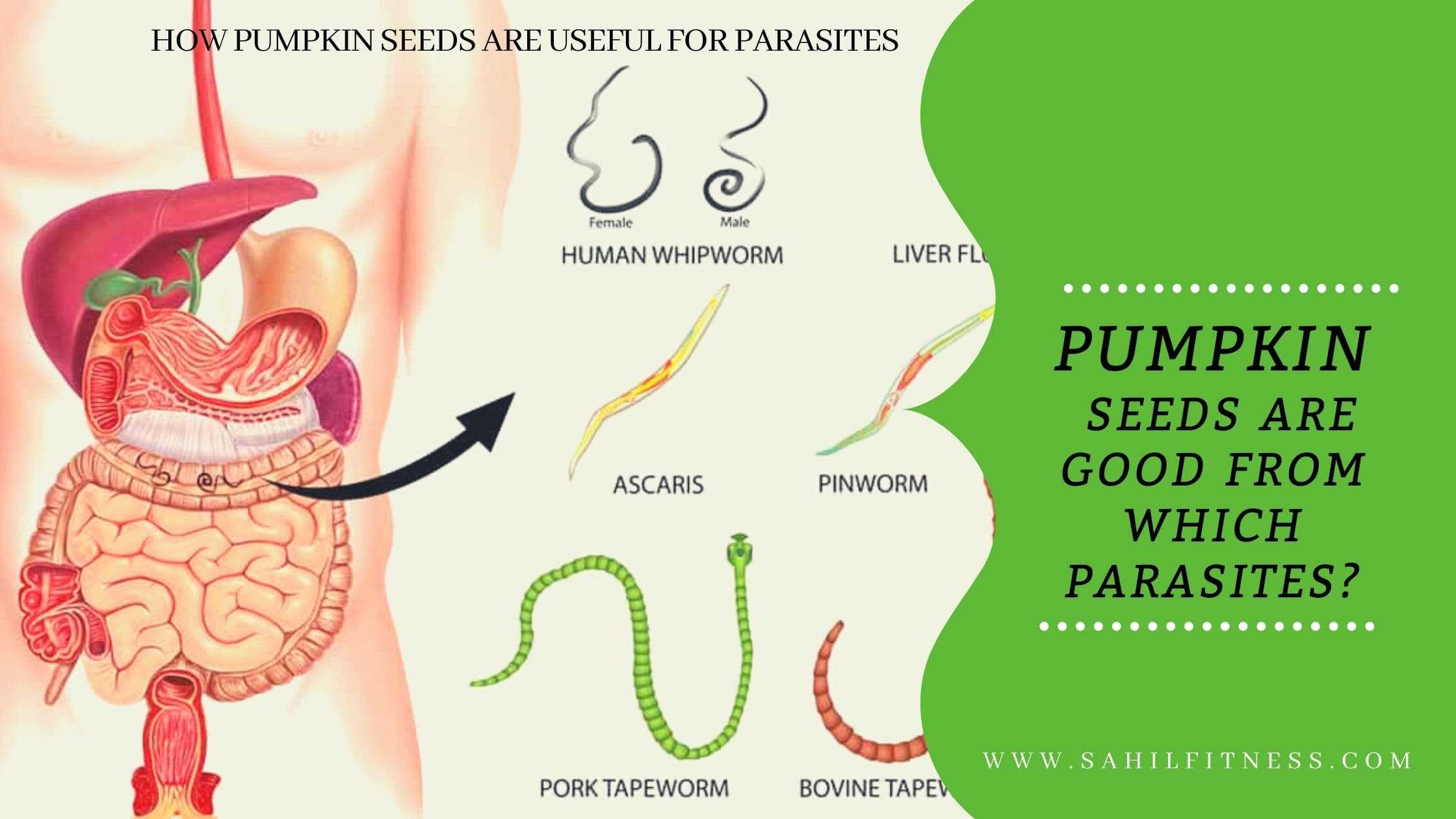 how to eat pumpkin seeds for parasites