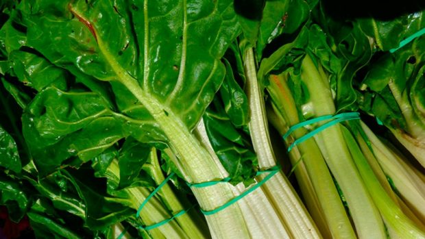 Basics of an Alkaline Diet Plan 2 Alkaline foods list