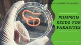 Pumpkin Seeds For Parasites: Benefits, Reviews, Eating Rules