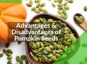 All About Pumpkin Seeds: Advantages & Disadvantages of Pumpkin Seeds