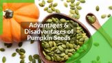 All About Pumpkin Seeds: Advantages & Disadvantages of Pumpkin Seeds